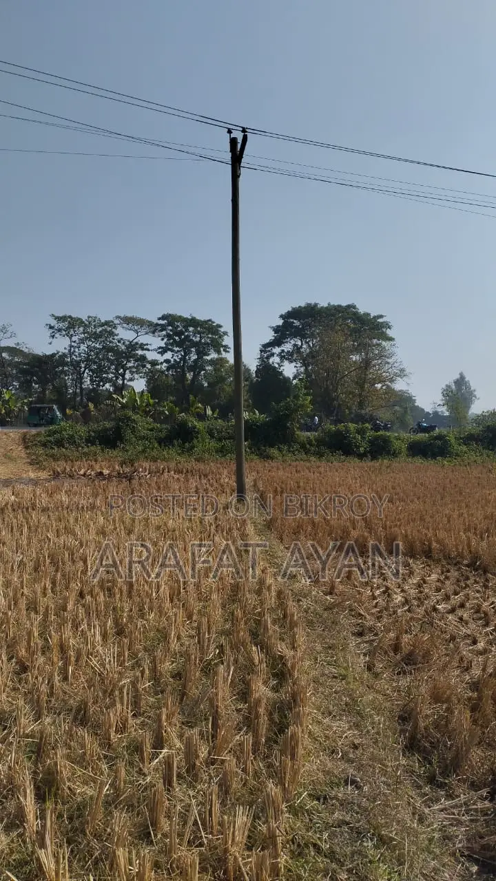 Land for Sale at a Low Price!