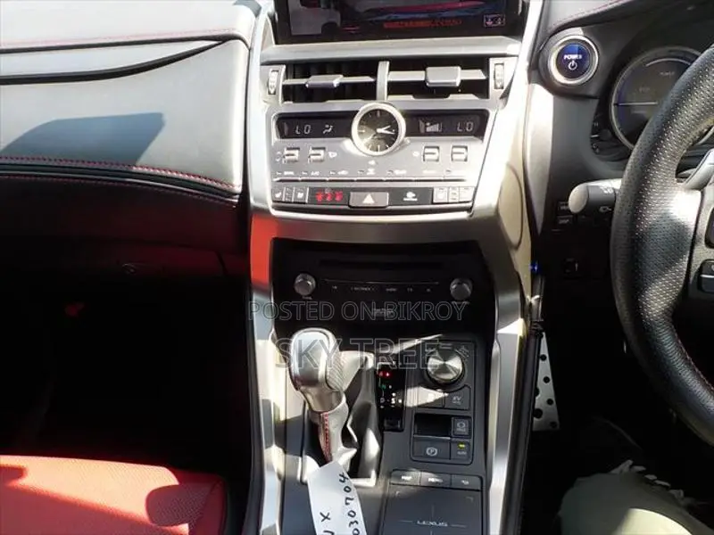 Lexus NX NX300H F-SPORTS 2020
