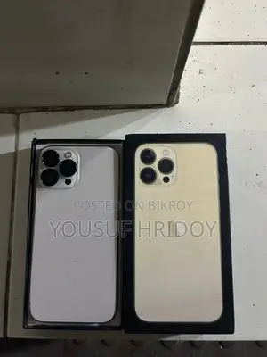 Apple iPhone 13 Pro Max (Used)