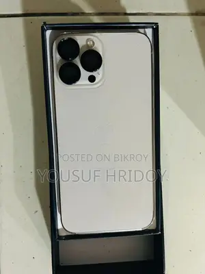 Apple iPhone 13 Pro Max (Used)