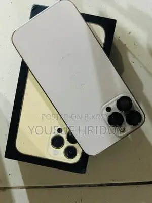 Apple iPhone 13 Pro Max (Used)