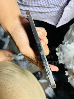 Apple iPhone 13 Pro Max (Used)
