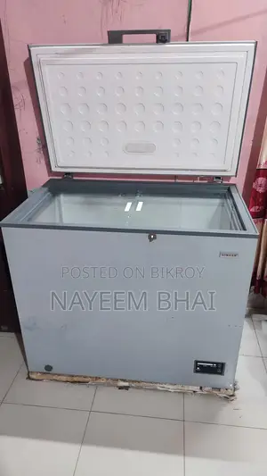 Singer Chest Freezer 251 Ltr