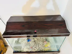 একুরিয়াম বিক্রি করা হবে