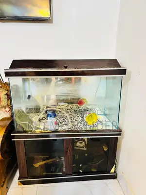 একুরিয়াম বিক্রি করা হবে