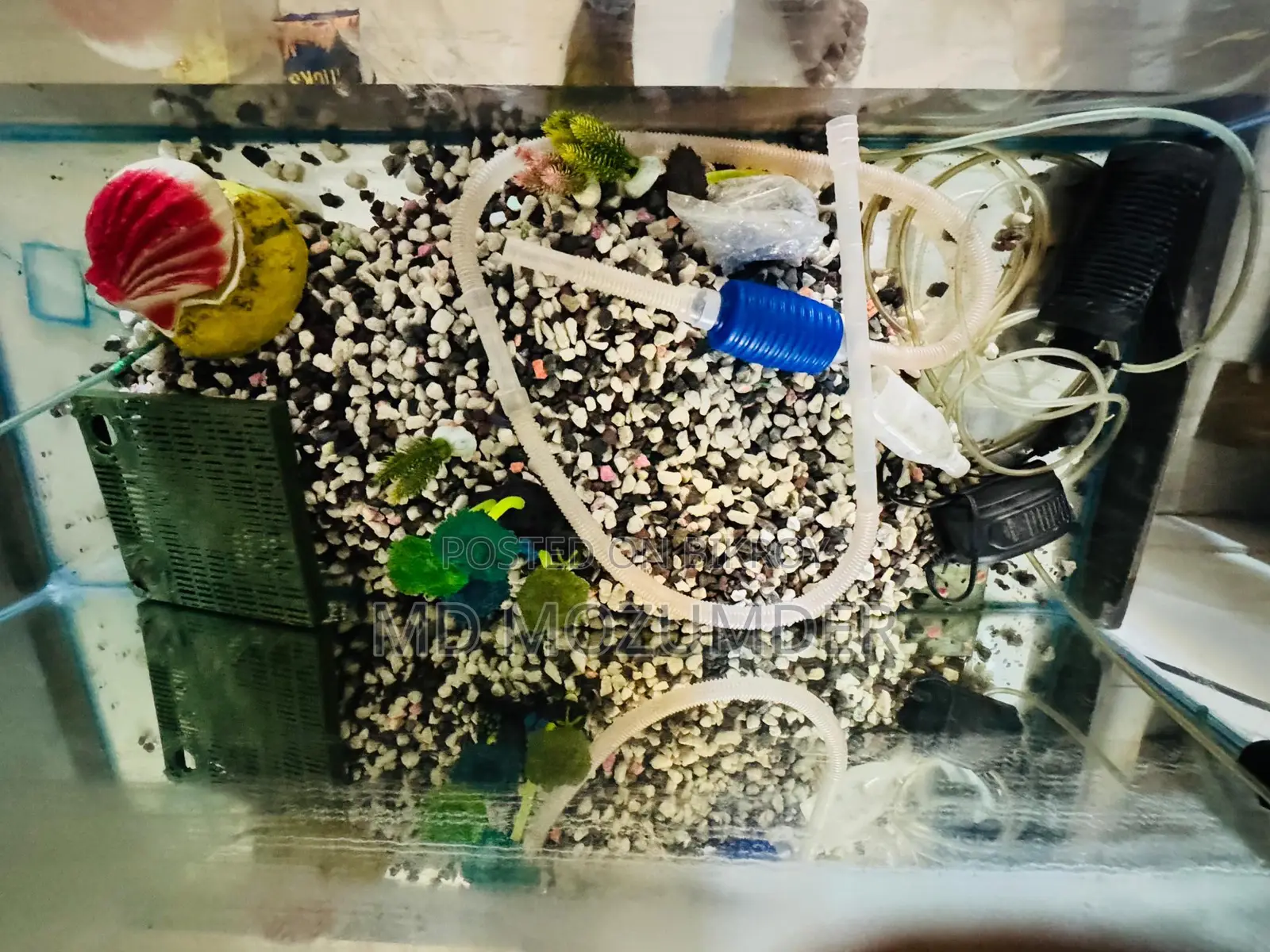 একুরিয়াম বিক্রি করা হবে