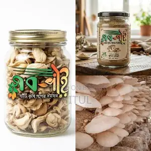 Dry Mushroom. Super Food