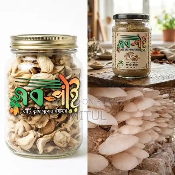 Dry Mushroom. Super Food