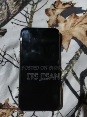 Apple iPhone XS (Used)