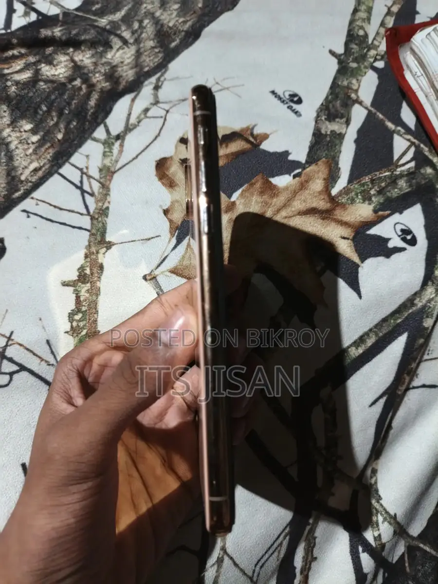 Apple iPhone XS (Used)