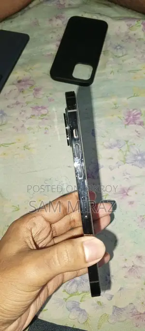Apple iPhone 12 Pro Max (Used)