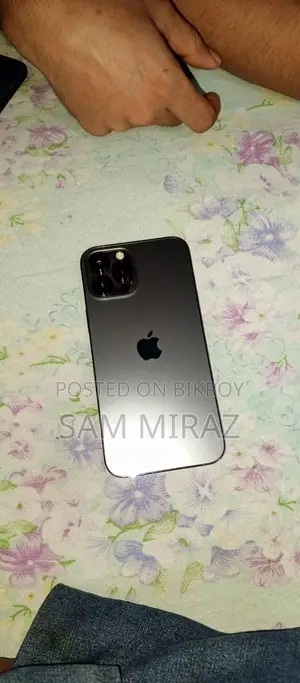 Apple iPhone 12 Pro Max (Used)