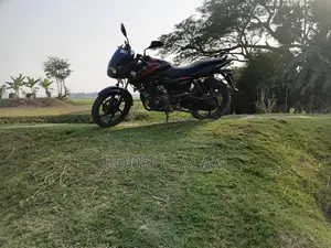 Bajaj Pulsar 150 . 2018