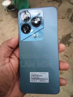 Walton phone (Used)