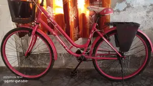 Ladies Bicycle