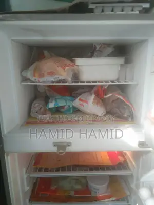 Singer Fridge