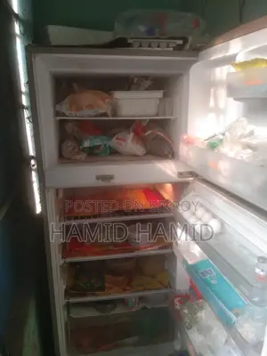 Singer Fridge