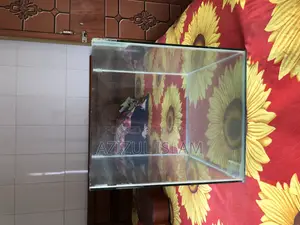 Aquarium