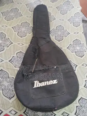 Guitar Bags আর্জেন্ট