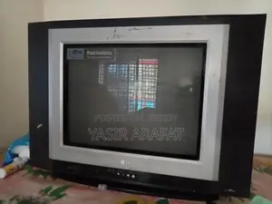 LG Butterfly TV