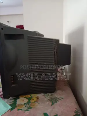 LG Butterfly TV