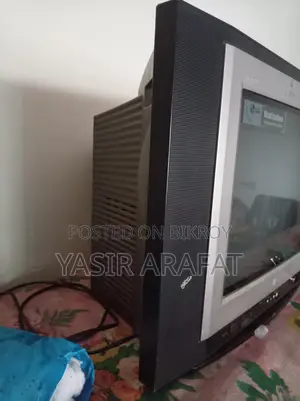 LG Butterfly TV