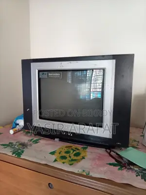 LG Butterfly TV