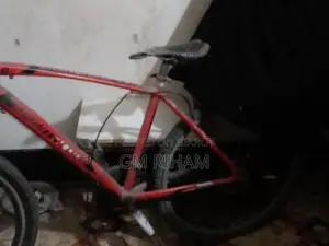 AIMA seventy one 2.0 2024