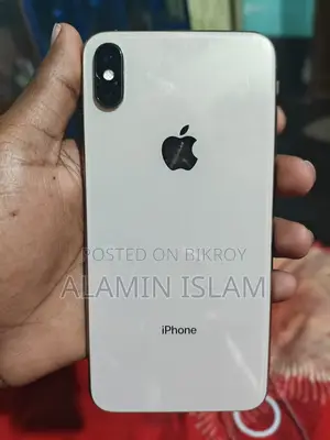 Apple iPhone XS Max 4/256 GB (Used)