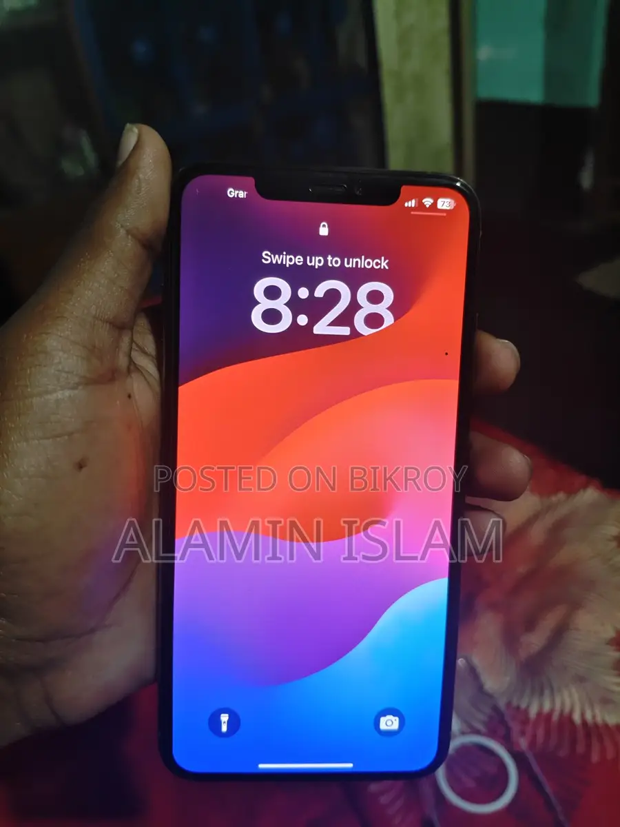 Apple iPhone XS Max 4/256 GB (Used)