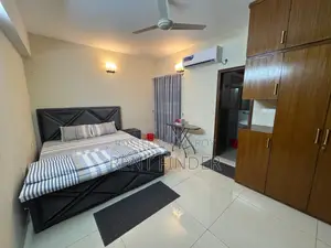 Luxury Full Furnished Apartment
