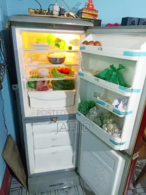Walton W2D-2x1 Fridge