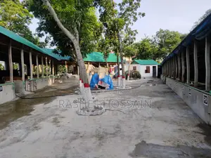 ৪২ শতক জায়গার উপরে রেডিমেট খামারসহ বিল্ডিং বাড়ি বিক্রি হবে