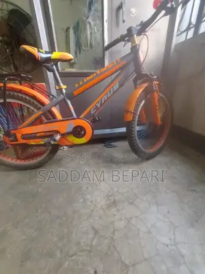 Selling My Bicycle.
