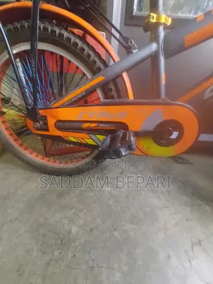 Selling My Bicycle.