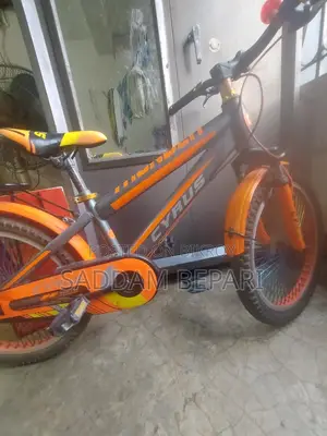 Selling My Bicycle.