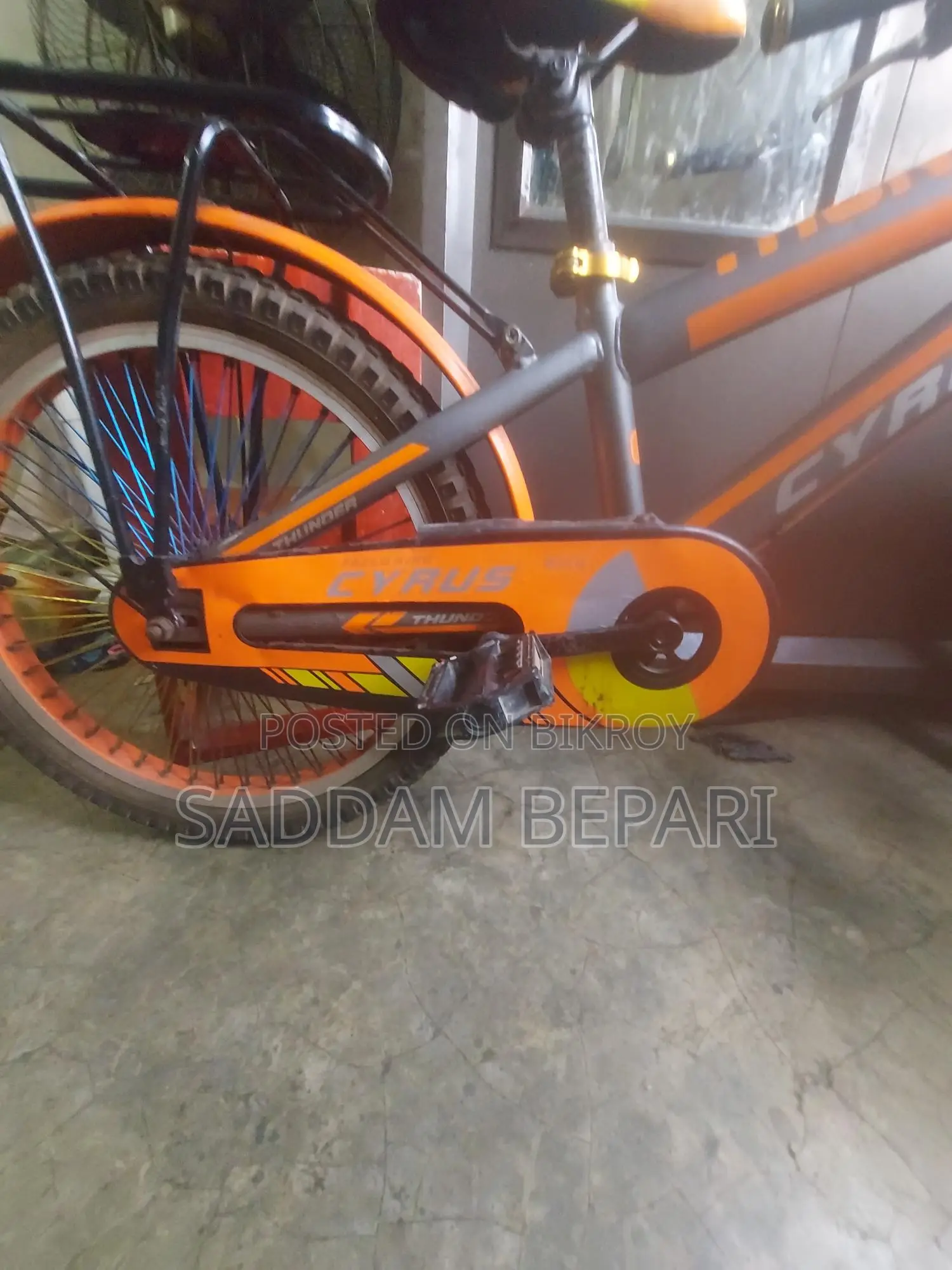 Selling My Bicycle.