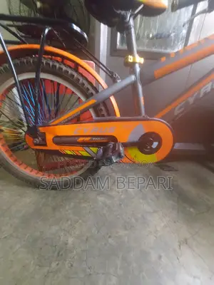 Selling My Bicycle.