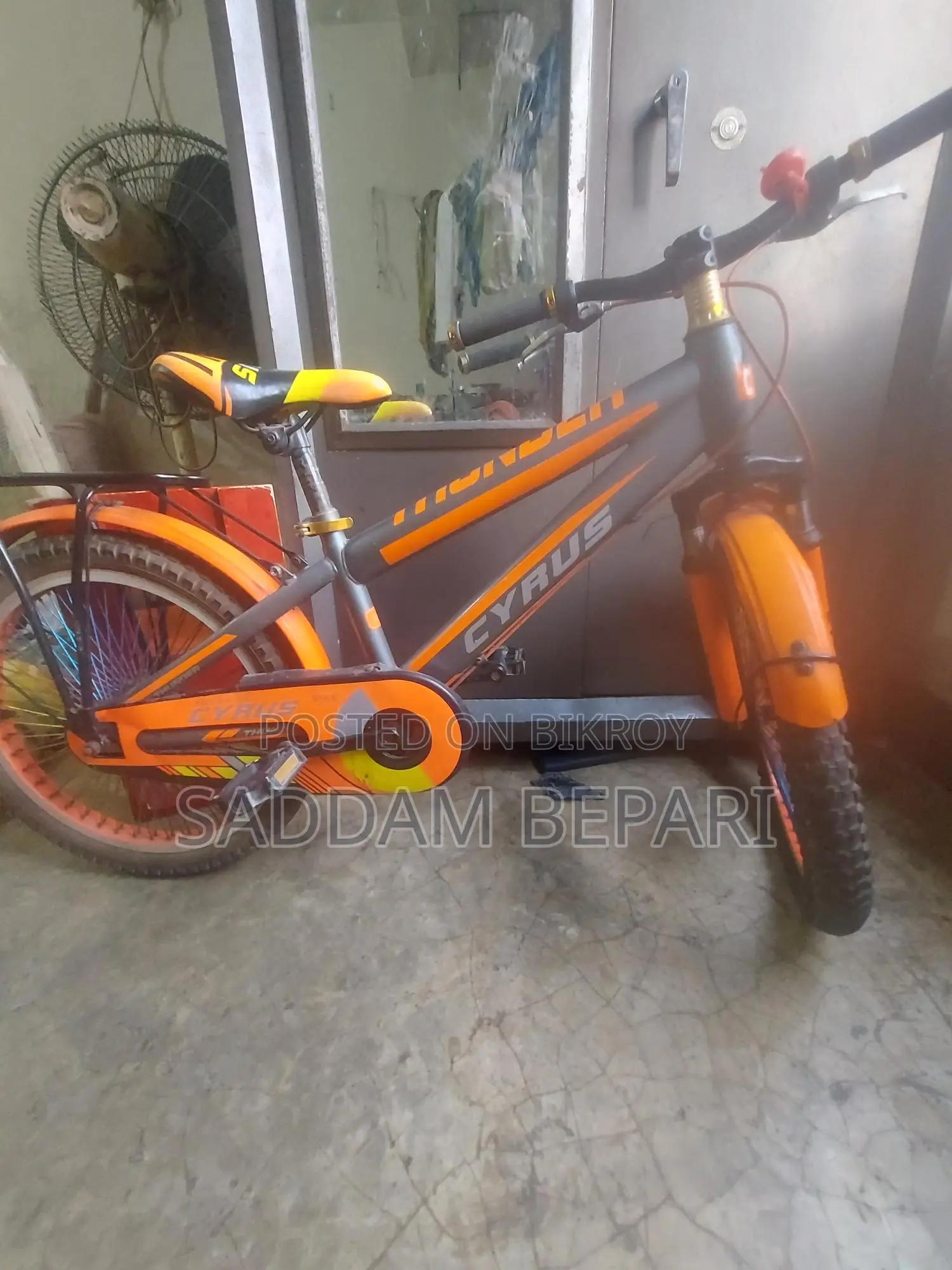 Selling My Bicycle.