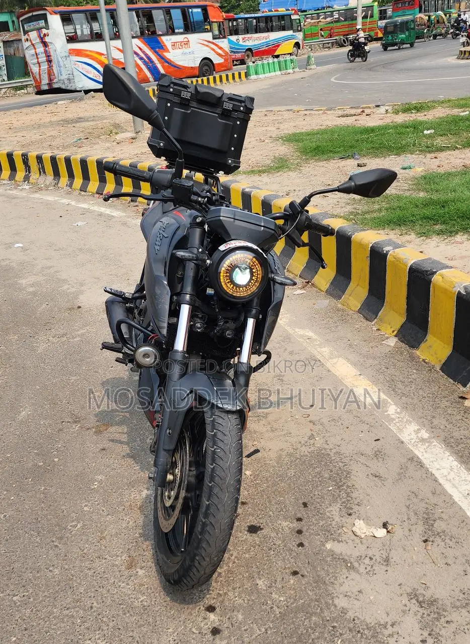 Bajaj Pulsar 250 2024 Black