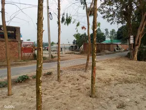 Land for Rent near Nalka Bishwaroad