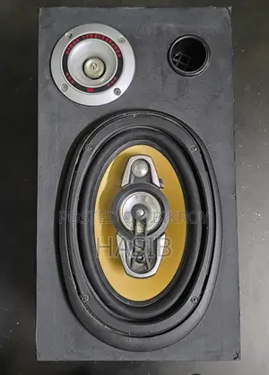 Pioneer Orginal Soundbox