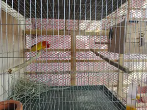 Decino Fisher Split Opaline