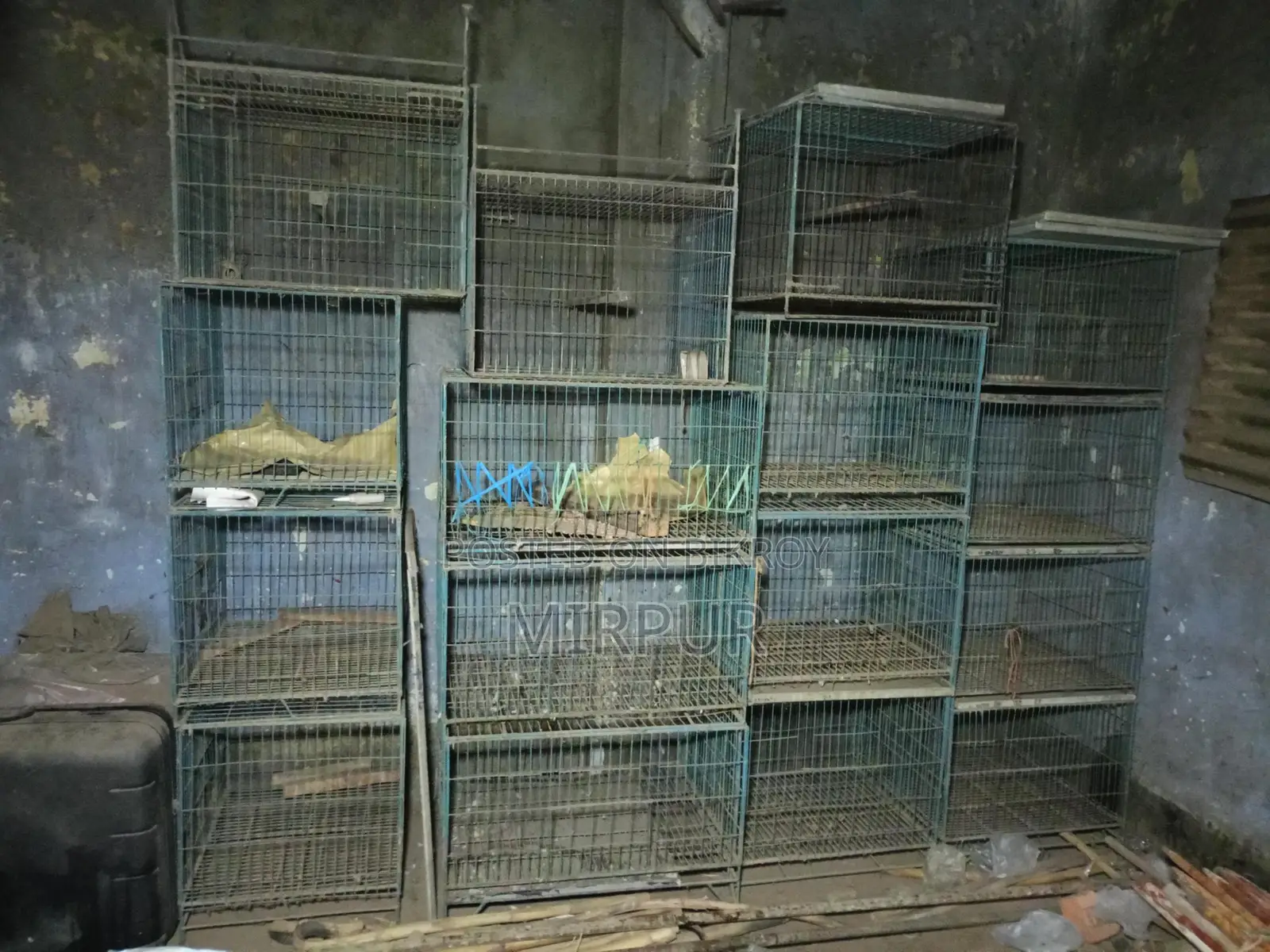 খাঁচা বিক্রি হবে ১৬ পিস