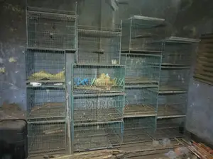 খাঁচা বিক্রি হবে ১৬ পিস
