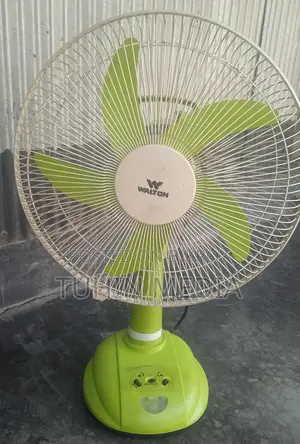 Walton Fan