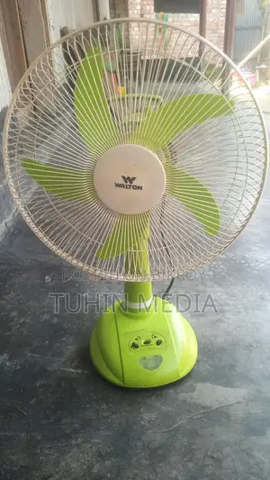 Walton Fan