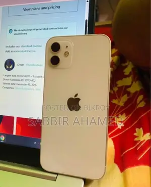 Apple iPhone 12 (Used)