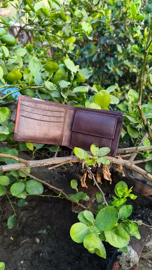 Premium Leather Wallet