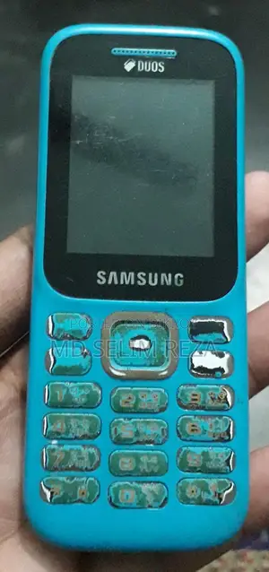 Samsung B313E (Used)